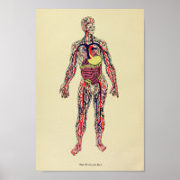 Impresión de arte de anatomía de órganos vintage 1