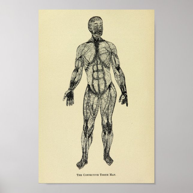 Impresión de arte de anatomía de tejidos conectati (Frente)