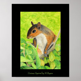 Impresión de arte de ardilla curiosa