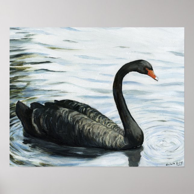 Impresión de arte de aves "Black Swan" (Frente)