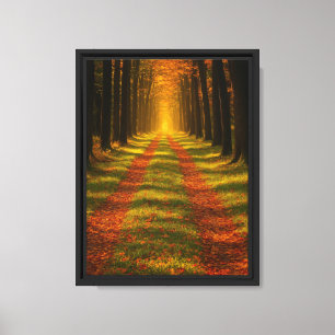 Impresión de arte de canvas de rutas forestales ot