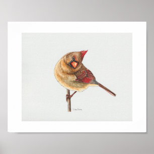 Impresión de arte de cardenales del norte femenino