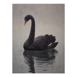 Impresión de arte de cisne negro antiguo