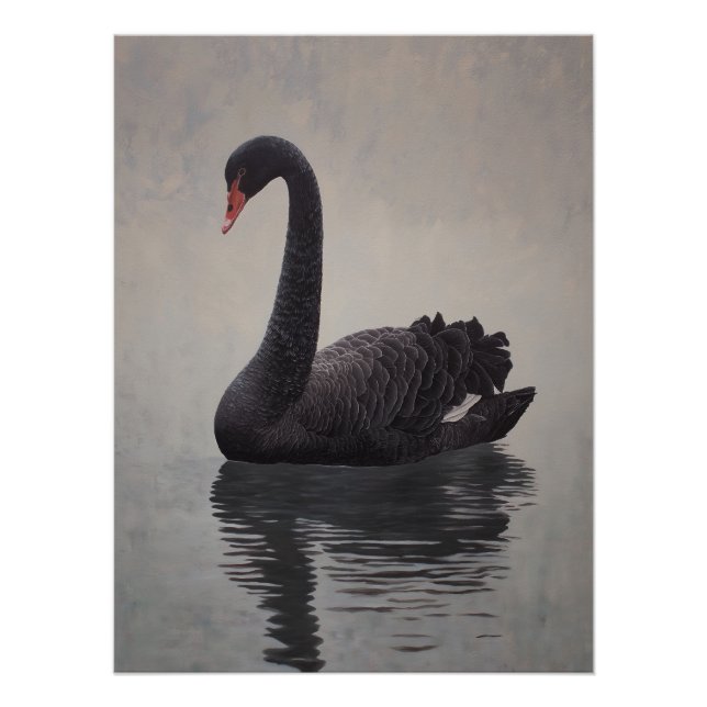 Impresión de arte de cisne negro antiguo (Anverso)