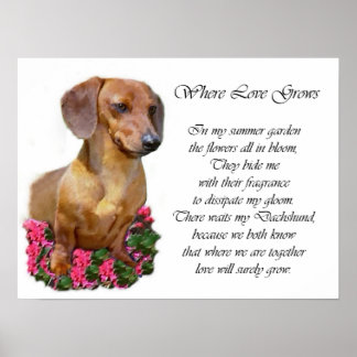 Impresión de arte de Dachshund