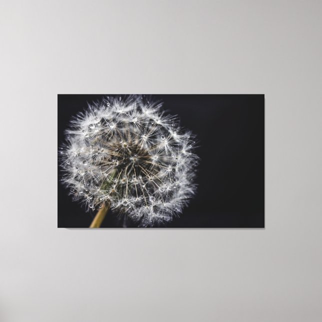 Impresión de arte de Dandelion (Anverso)
