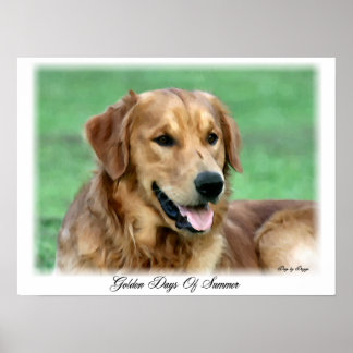 Impresión de arte de Golden Retriever