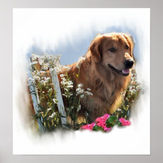 Impresión de arte de Golden Retriever