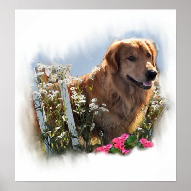 Impresión de arte de Golden Retriever (Frente)