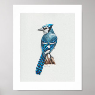 Impresión de arte de Jay Azul