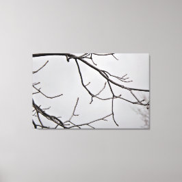 Impresión de arte de lienzo Sky de invierno