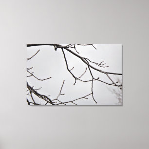 Impresión de arte de lienzo Sky de invierno