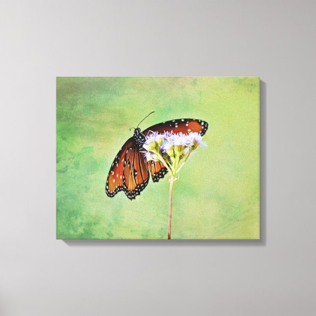 Impresión de arte de lienzo sobre mariposa monarca (Anverso)