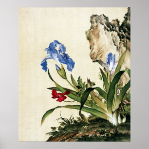 Impresión de arte de lirio azul vintage y roca de