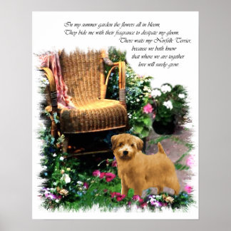 Impresión de arte de Norfolk Terrier