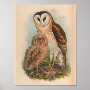Impresión de arte de pájaro marrón de búho de hier