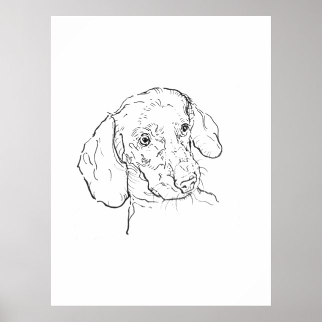 Impresión de Arte de Pared, Dachshund, Perro Salch (Frente)