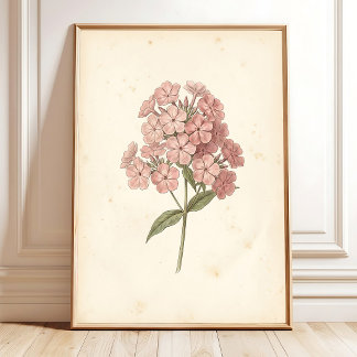 Impresión de Arte de Pared de Flox Botánico