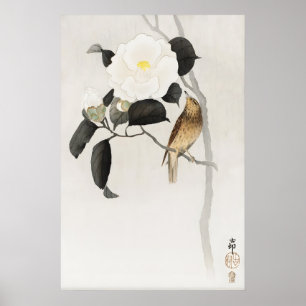 Impresión de Arte de Pared de Pájaro Camelia Japon