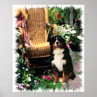 Impresión de arte de perro de montaña de Bernese