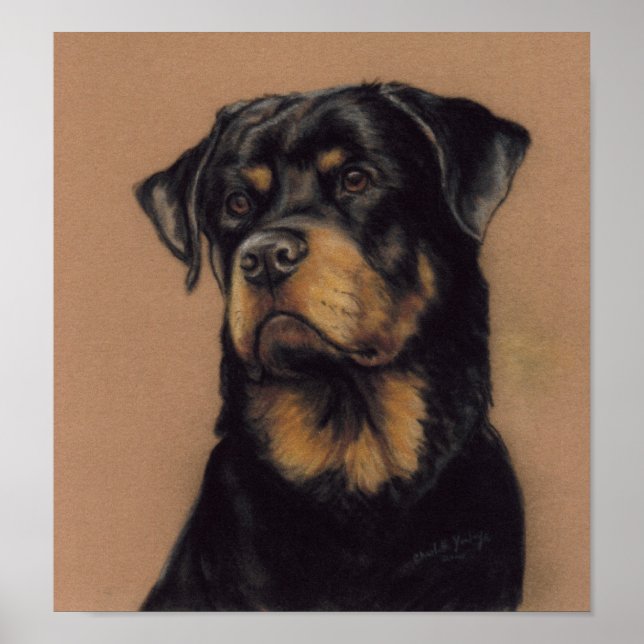 Impresión de arte de perro de Rottweiler (Frente)