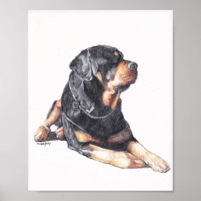 Impresión de arte de perro en rottweiler (Frente)