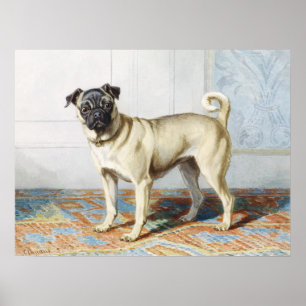 Impresión de arte de perro pug con acuarela vintag