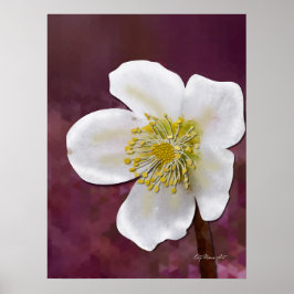 Impresión de arte de rosa de invierno de alta poli