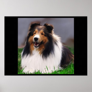 Impresión de arte de Sheepdog de Shetland