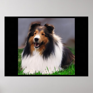 Impresión de arte de Sheepdog de Shetland