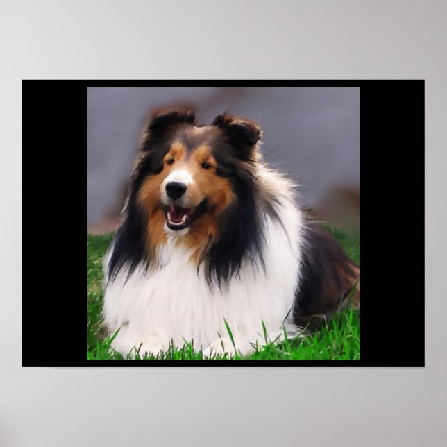 Impresión de arte de Sheepdog de Shetland (Frente)