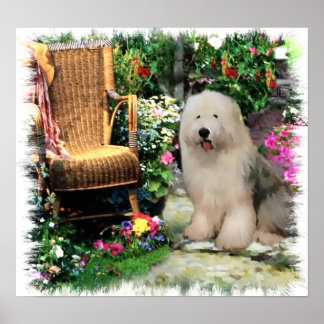 Impresión de arte de Sheepdog en inglés