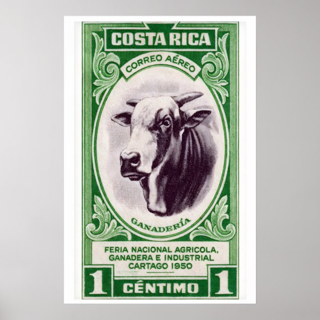 Impresión de arte de vaca con cuernos de Costa Ric (Frente)