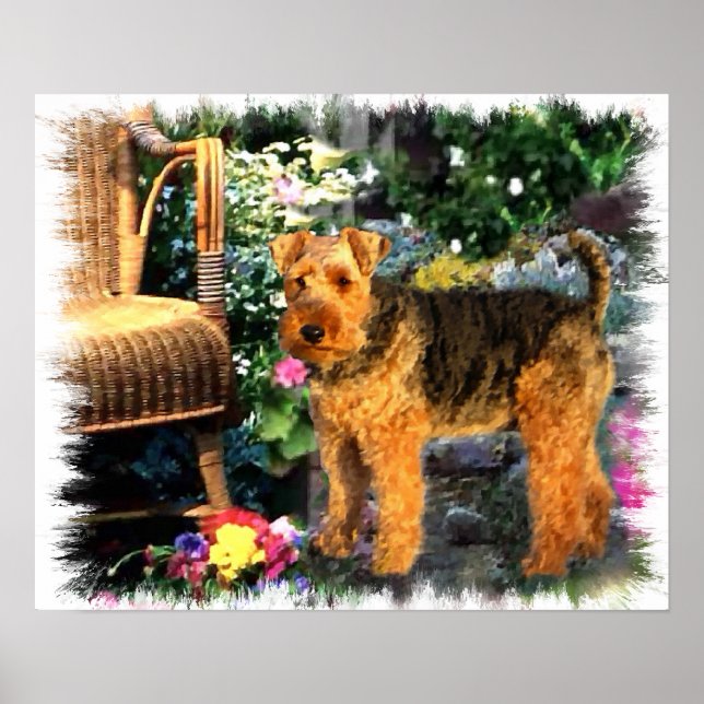 Impresión de arte de Welsh Terrier (Frente)