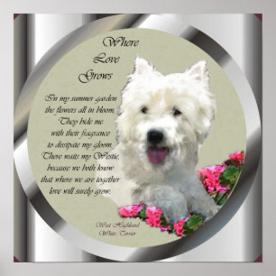 Impresión de arte de West Highland White Terrier