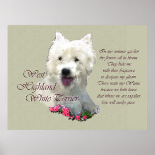 Impresión de arte de West Highland White Terrier