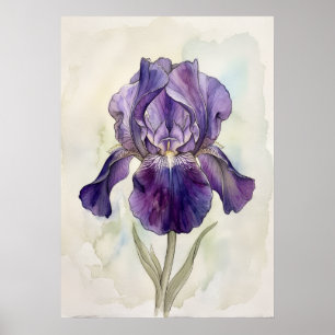 Impresión de arte en acuarela de Iris Morado   Flo