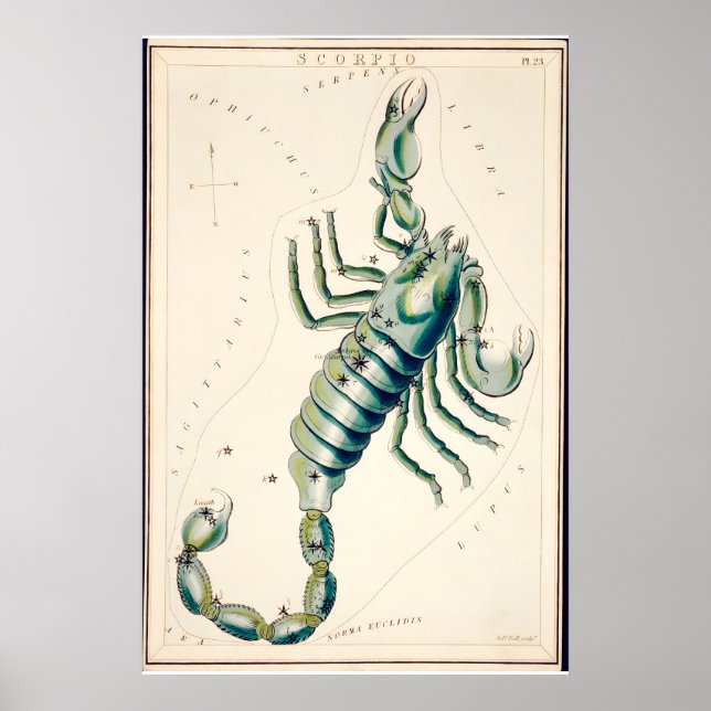 Impresión de arte fino de la constelación de Escor (Frente)