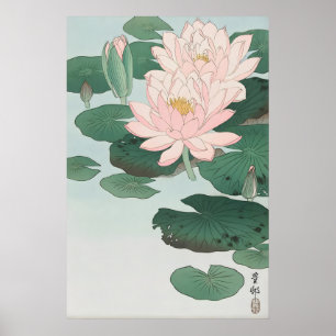 Impresión de arte fino de nenúfar Ohara Koson Japo