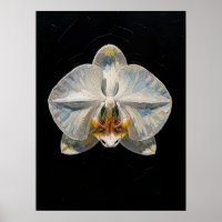 Impresión de arte fino de orquídea Phalaenopsis bl