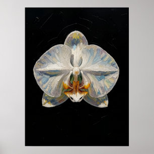 Impresión de arte fino de orquídea Phalaenopsis bl