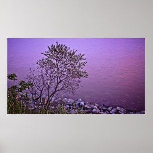Impresión de arte fino en el árbol púrpura