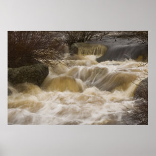 Impresión de arte fino Pennant Brook