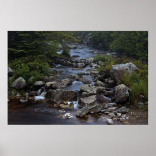 Impresión de arte fino Pennant Brook III