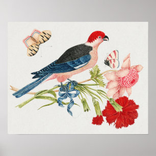 Impresión de arte floral de mariposa pájaro rosa v