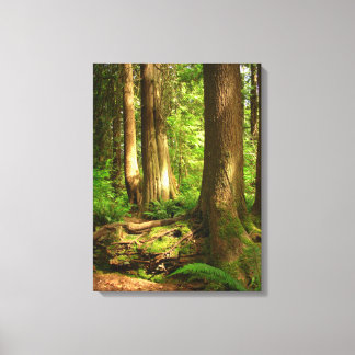 Impresión de arte forestal de la costa oeste de Ca