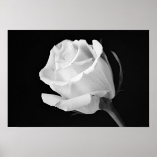 Impresión de arte fotográfico blanco y negro de ro