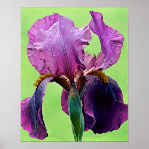 Impresión de arte fotográfico con flores de iris m