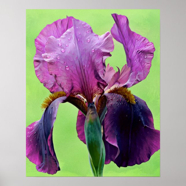 Impresión de arte fotográfico con flores de iris m (Frente)