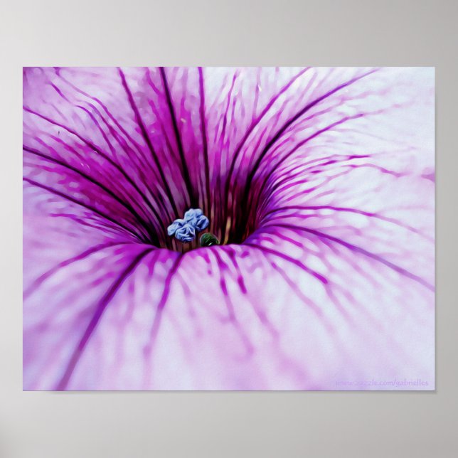 Impresión de arte fotográfico de flores de Petunia (Frente)